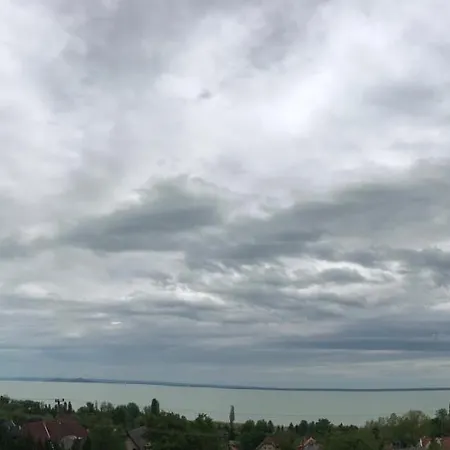 Toranezo Haz *