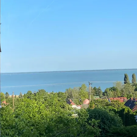 Toranezo Haz *