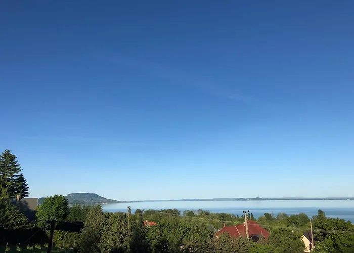Toranezo Haz